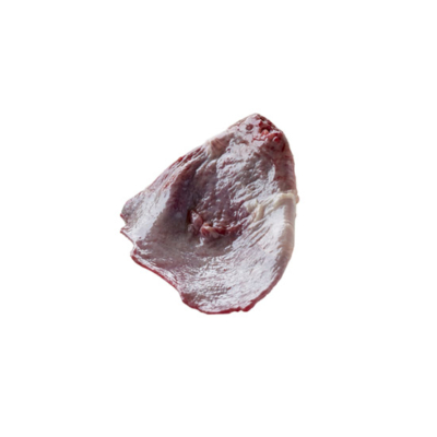 OVINE SPLEEN